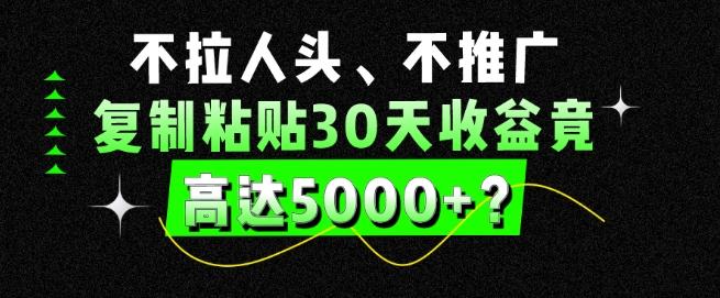不拉人头、不推广,复制粘贴30天收益竟高达5000+?-一个公司创业项目 - 淘金吧