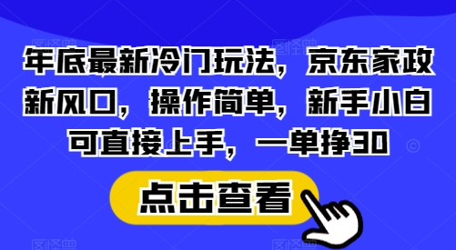 年底最新冷门玩法,京东家政新风口,操作简单,新手小白可直接上手,一单挣30【揭秘】-一个公司创业项目 - 淘金吧