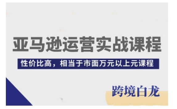 亚马逊运营实战课程,亚马逊从入门到精通,性价比高,相当于市面万元以上元课程-一个公司创业项目 - 淘金吧