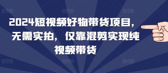 2024短视频好物带货项目，无需实拍，仅靠混剪实现纯视频带货-一个公司创业项目 - 淘金吧
