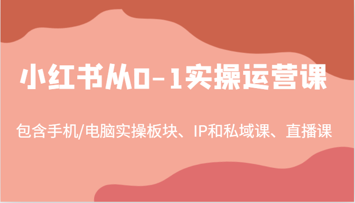 小红书从0-1实操运营课，包含手机/电脑实操板块、IP和私域课、直播课(97节)-一个公司创业项目 - 淘金吧