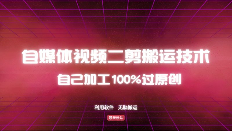 详细教你自媒体视频二剪搬运技术，自己加工100%过原创，无脑搬运-一个公司创业项目 - 淘金吧