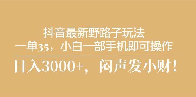 抖音最新野路子玩法，一单35，小白一部手机即可操作，，日入3000+，闷…-一个公司创业项目 - 淘金吧