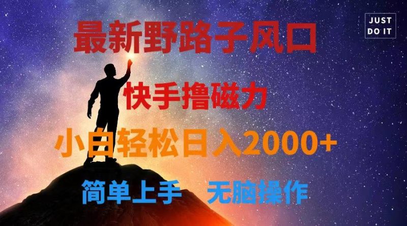 最新风口!快手撸磁力,野路子,小白无脑操作日入2000+-一个公司创业项目 - 淘金吧