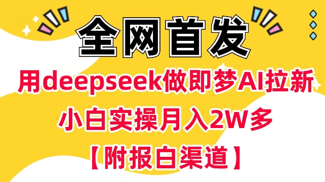 用deepseek做即梦Ai拉新 小白实操月入过W+【附报白渠道】-一个公司创业项目 - 淘金吧