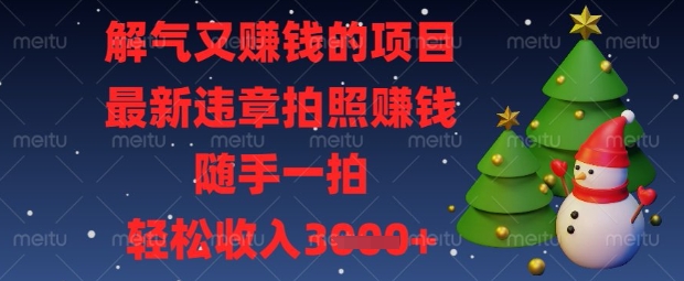解气又挣钱的项目，最新违章拍照挣钱，随手一拍，轻松收入数张【揭秘】-一个公司创业项目 - 淘金吧