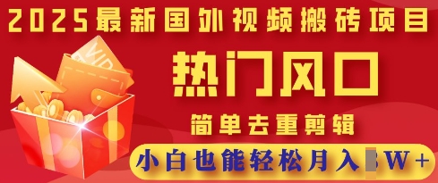 2025最新视频搬砖项目,热门风口,简单去重剪辑,小白也能轻松月入过W-一个公司创业项目 - 淘金吧