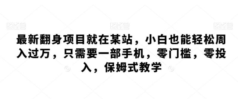 最新翻身项目就在某站,小白也能轻松周入过万,只需要一部手机,零门槛,零投入,保姆式教学-一个公司创业项目 - 淘金吧