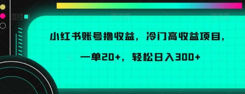 小红书账号撸收益,冷门高收益项目,一单20+,轻松日入300+【揭秘】-一个公司创业项目 - 淘金吧