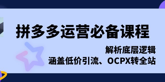 拼多多运营必备课程,解析底层逻辑,涵盖低价引流、OCPX转全站-一个公司创业项目 - 淘金吧