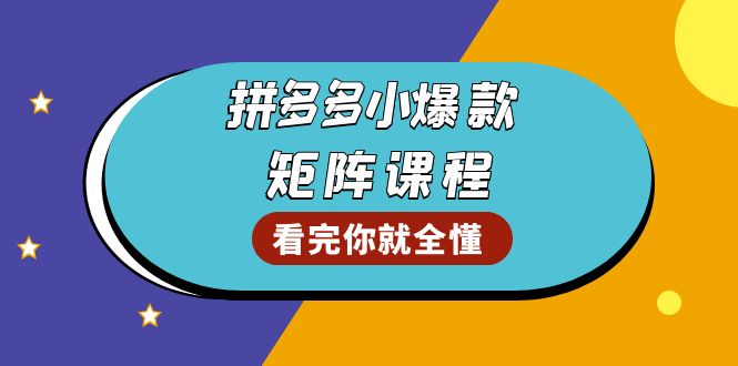 拼多多爆款矩阵课程:教你测出店铺爆款,优化销量,提升GMV,打造爆款群-一个公司创业项目 - 淘金吧