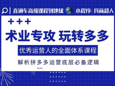 术业专攻玩转多多,优秀运营人的全面体系课程,解析拼多多运营底层必备逻辑-一个公司创业项目 - 淘金吧