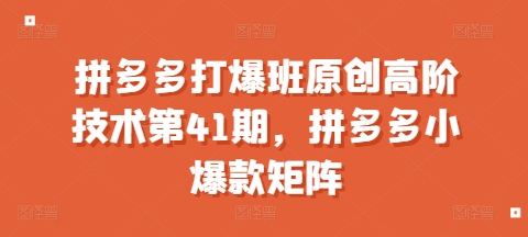 拼多多打爆班原创高阶技术第41期,拼多多小爆款矩阵-一个公司创业项目 - 淘金吧