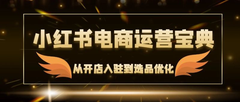 小红书电商运营宝典:从开店入驻到选品优化,一站式解决你的电商难题-一个公司创业项目 - 淘金吧
