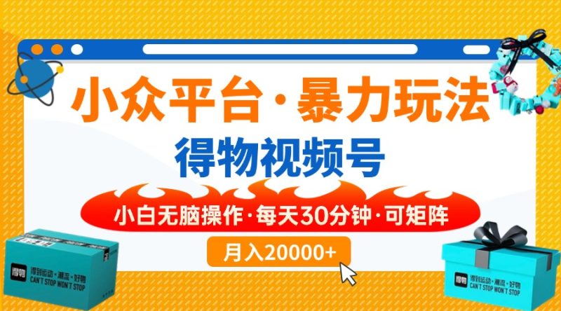 小众平台暴力玩法，一键搬运爆款视频，可矩阵小白无脑操作，每天30分钟…-一个公司创业项目 - 淘金吧