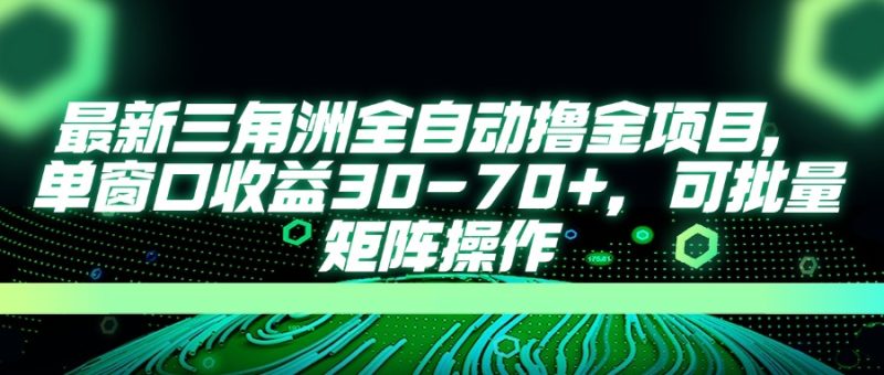 最新三角洲全自动撸金项目，单窗口收益30-70+，可批量矩阵操作-一个公司创业项目 - 淘金吧