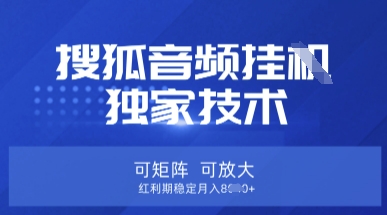 【搜狐音频挂G】独家技术，可矩阵可放大，红利期稳定月入8k【揭秘】-一个公司创业项目 - 淘金吧