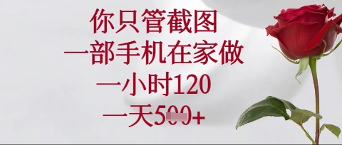 你只管截图,一部手机在家操作,一小时120.一天5张【揭秘】-一个公司创业项目 - 淘金吧