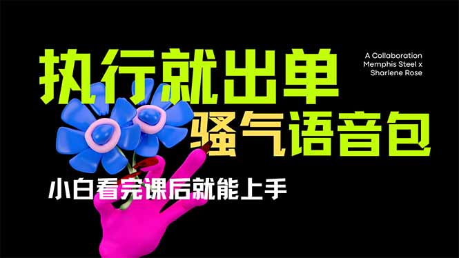 爆火全网的开车导航骚气语音包,只要执行就出单,小白看完课程就能实操…-一个公司创业项目 - 淘金吧