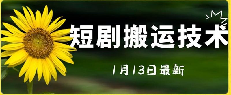 最新短剧搬运技术，电脑手机都可以操作，不限制机型-一个公司创业项目 - 淘金吧