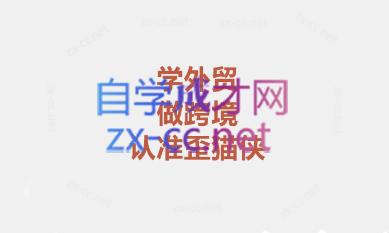 琼姐·团队复制+询盘转化+展会实操-一个公司创业项目 - 淘金吧