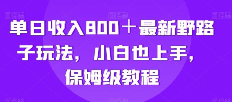 单日收入800+最新野路子玩法,小白也上手,保姆级教程-一个公司创业项目 - 淘金吧