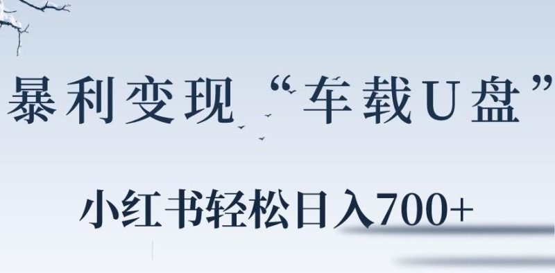 小红书“车载U盘”暴利引流,日入700+-一个公司创业项目 - 淘金吧
