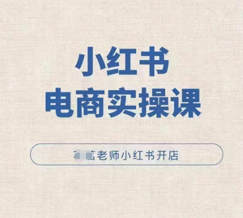 小红薯电商实操课,小红书开店实操必学课-一个公司创业项目 - 淘金吧