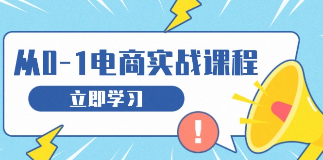 从零做电商实战课程,教你如何获取访客、选品布局,搭建基础运营团队-一个公司创业项目 - 淘金吧