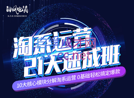 淘系运营21天速成班(更新24年6月)-一个公司创业项目 - 淘金吧