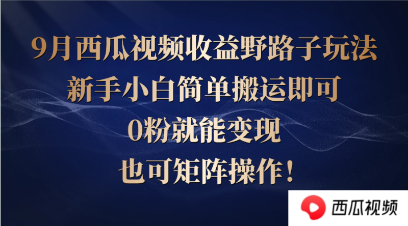 西瓜视频收益野路子玩法，新手小白简单搬运即可，0粉就能变现，也可矩…-一个公司创业项目 - 淘金吧