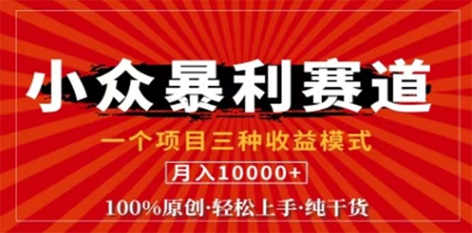 视频号最新爆火赛道，三种可收益模式，0粉新号条条原创条条热门 日入1000+-一个公司创业项目 - 淘金吧