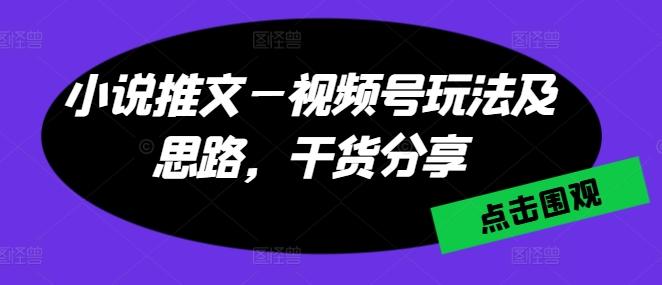 小说推文—视频号玩法及思路，干货分享-一个公司创业项目 - 淘金吧