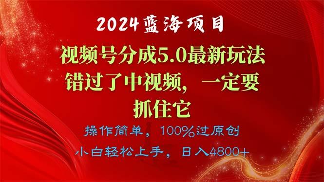 2024蓝海项目，视频号分成计划5.0最新玩法，错过了中视频，一定要抓住…-一个公司创业项目 - 淘金吧