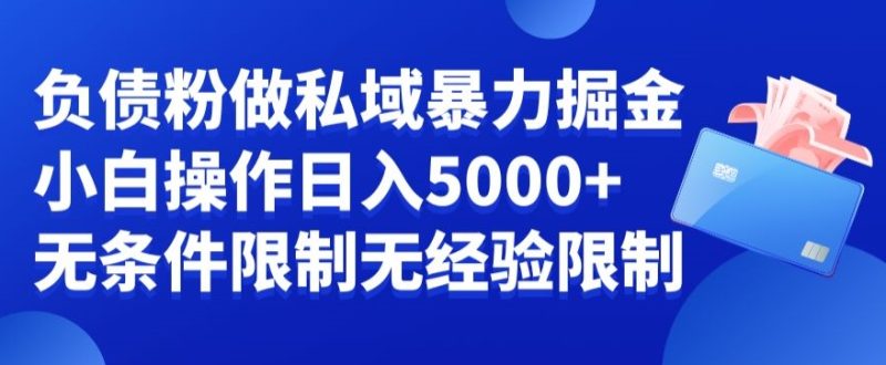 负债粉私域暴力掘金,小白操作入5000,无经验限制,无条件限制【揭秘】-一人公司创业项目 - 淘金吧