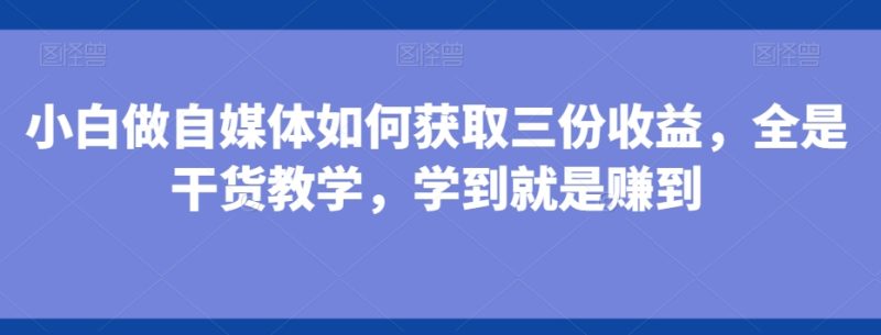 小白做自媒体如何获取三份收益,全是干货教学,学到就是赚到-一个公司创业项目 - 淘金吧