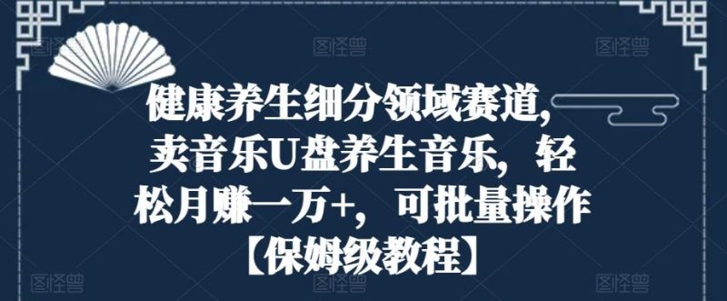 健康养生细分领域赛道,卖音乐U盘养生音乐,轻松月赚一万+,可批量操作【保姆级教程】-一人公司创业项目 - 淘金吧