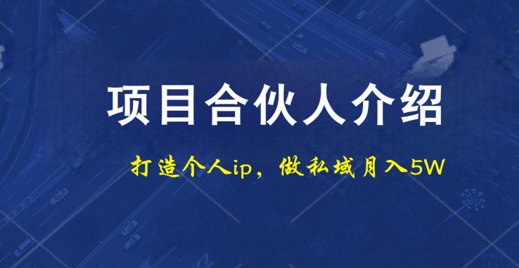 项目合伙人项目，打造个人IP，做私域月入5W，小白勿扰-一人公司创业项目 - 淘金吧