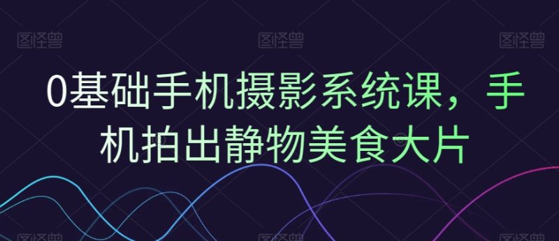 0基础手机摄影系统课,手机拍出静物美食大片-一人公司创业项目 - 淘金吧