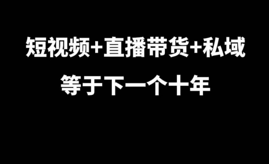 短视频+直播带货+私域等于下一个十年，大佬7年实战经验总结-一人公司创业项目 - 淘金吧