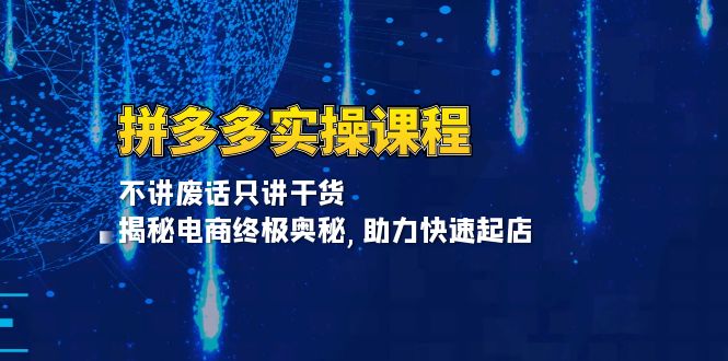 拼多多实操课程:不讲废话只讲干货, 揭秘电商终极奥秘,助力快速起店-一人公司创业项目 - 淘金吧