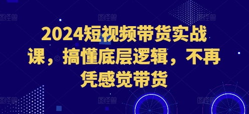 2024短视频带货实战课，搞懂底层逻辑，不再凭感觉带货-一人公司创业项目 - 淘金吧