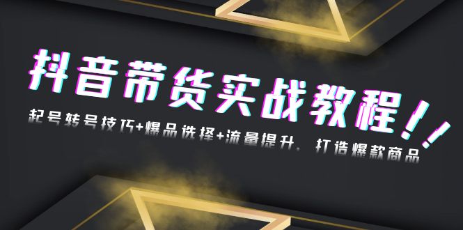 抖音带货实战教程:起号转号技巧+爆品选择+流量提升,打造爆款商品-一人公司创业项目 - 淘金吧
