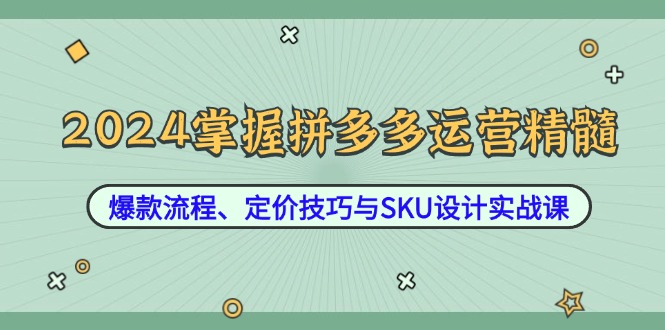 2024掌握拼多多运营精髓：爆款流程、定价技巧与SKU设计实战课-一人公司创业项目 - 淘金吧