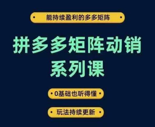 拼多多矩阵动销系列课,能持续盈利的多多矩阵,0基础也听得懂,玩法持续更新-一个公司创业项目 - 淘金吧