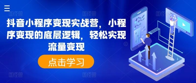 抖音小程序变现实战营,小程序变现的底层逻辑,轻松实现流量变现-一人公司创业项目 - 淘金吧