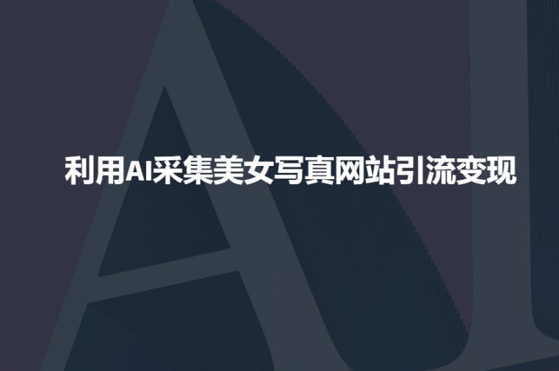 利用AI采集美女写真网站引流变现,引流嘎嘎的-一人公司创业项目 - 淘金吧