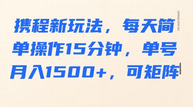 携程新玩法，每天简单操作15分钟，单号月入1500+，可矩阵-一人公司创业项目 - 淘金吧