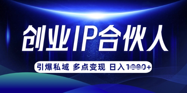 云帆·创业ip合伙人打造3.0，从0到1教你做网创，实现月入过W-一人公司创业项目 - 淘金吧