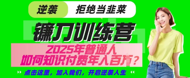 【网创项目终点站-镰刀训练营超级IP合伙人】25年普通人如何通过知识付费实现逆袭【揭秘】-一个公司创业项目 - 淘金吧